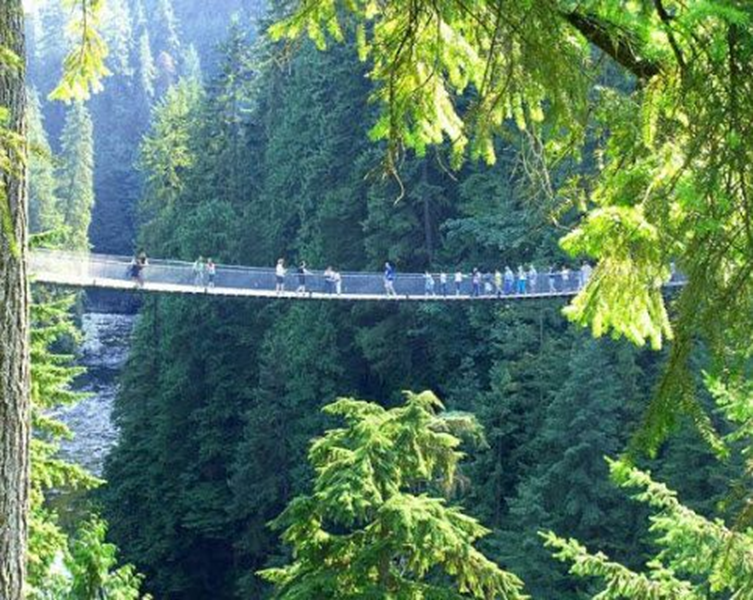 Crossing a Suspension Bridge…