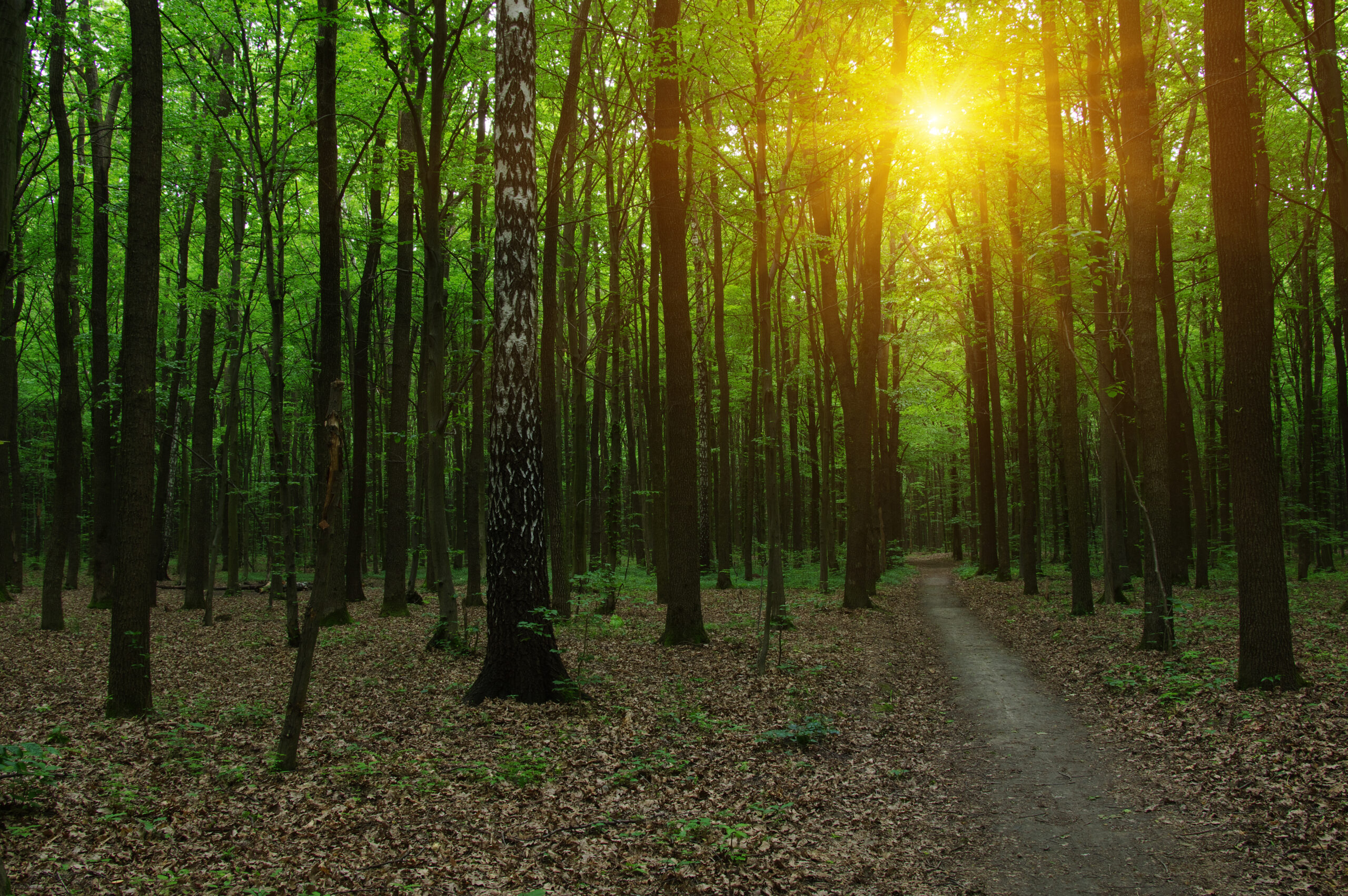 Three Common Misconceptions that Hurt Sellers