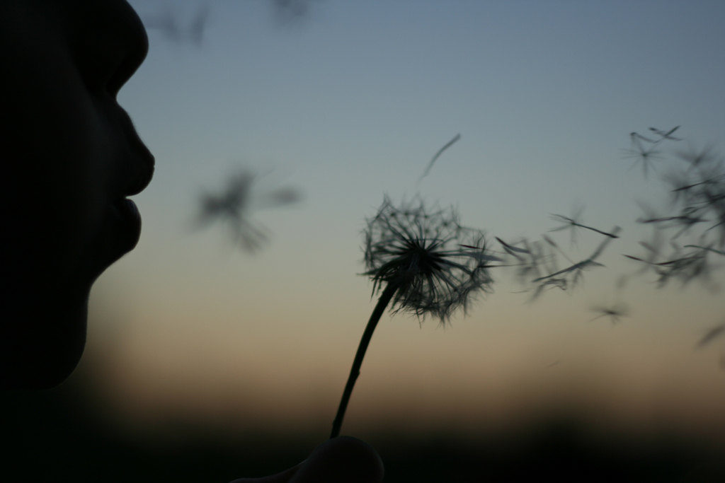 Woman blowing dandelion seeds and making a wish