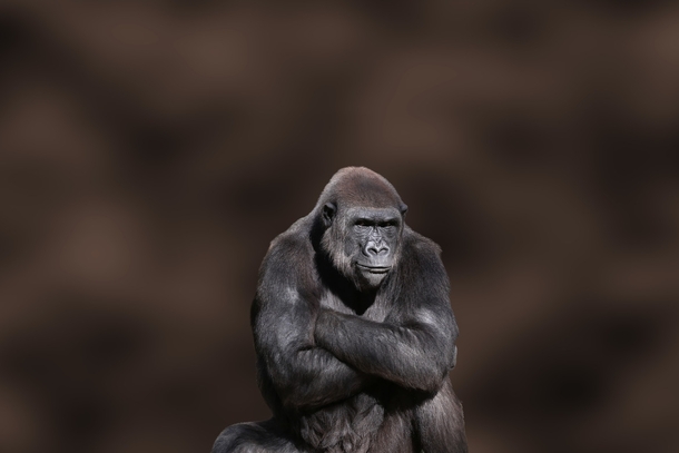 Difficult Negotiators – Part two in a three part series