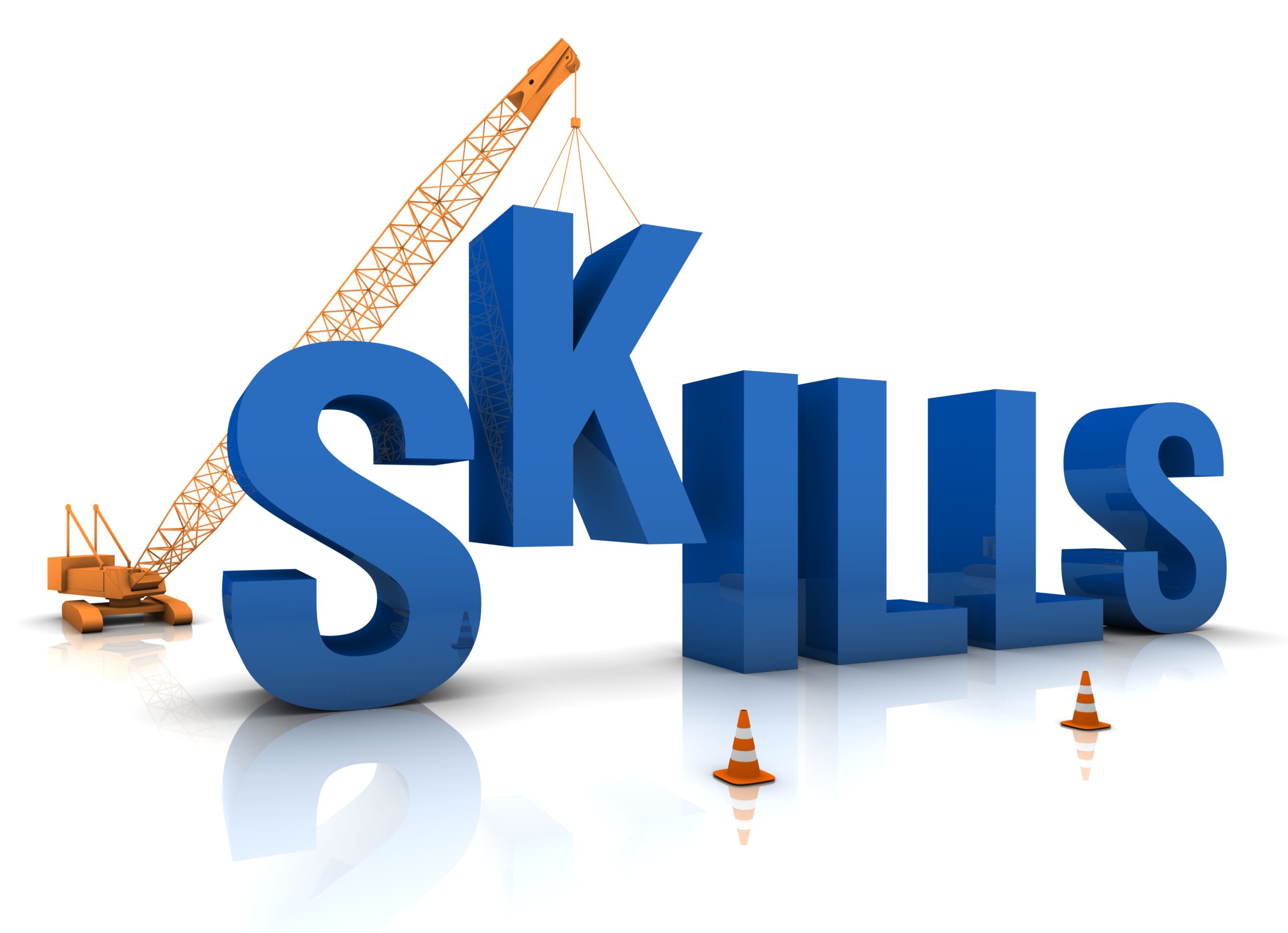 Building Skills vs. Building Business: A true dichotomy?