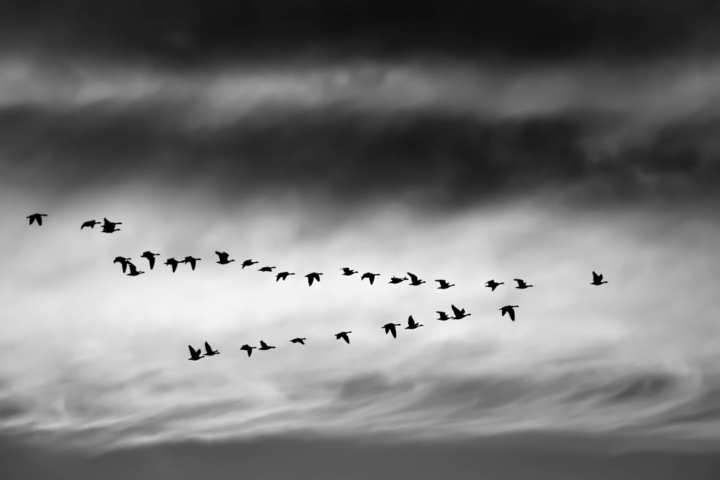 Alignment: A Proposed Business Strategy