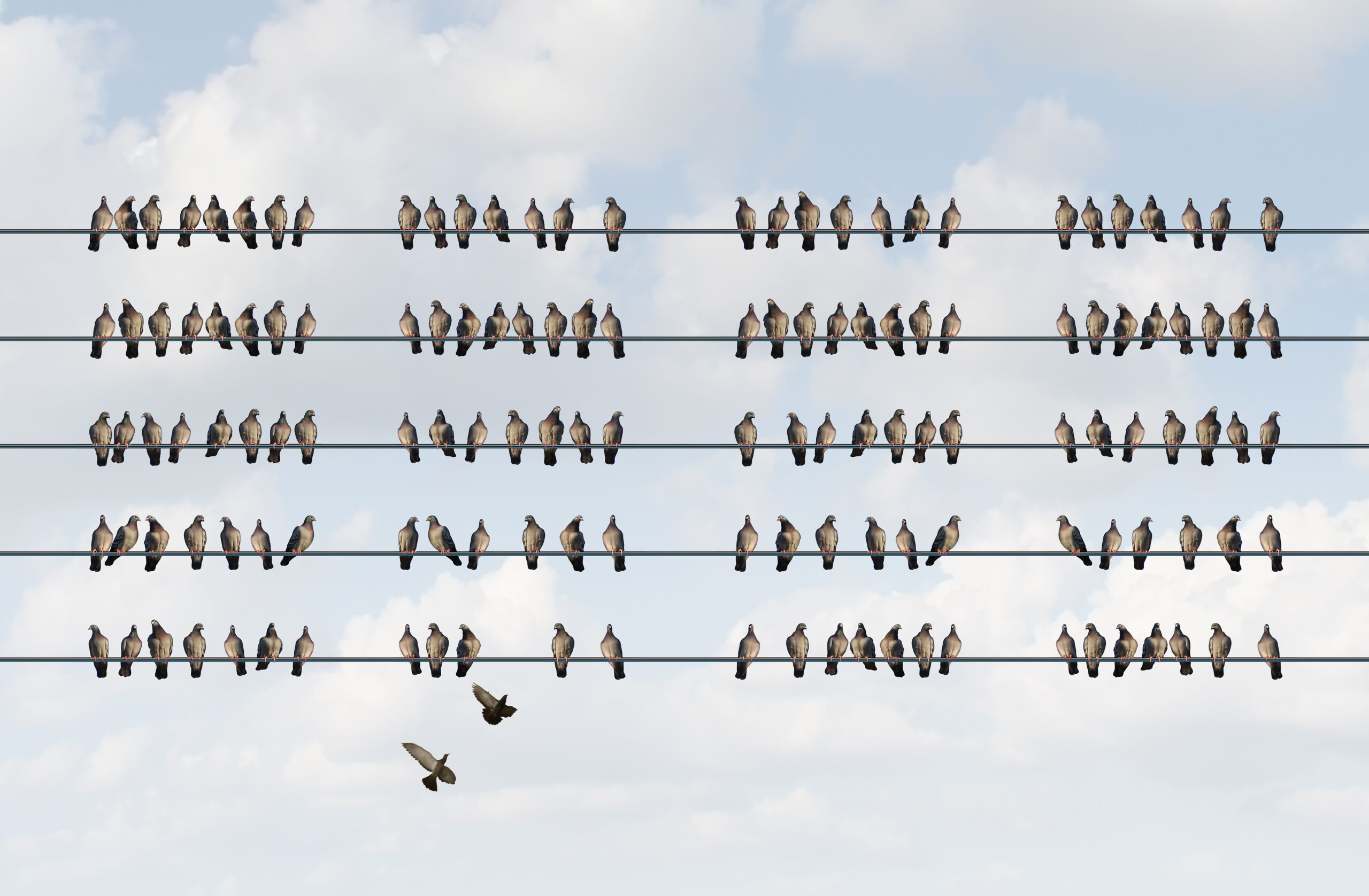 Alignment- A proposed business strategy
