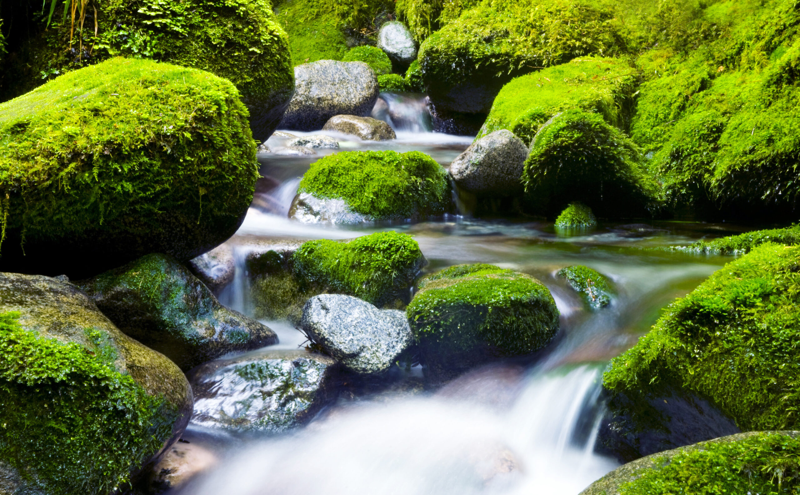 Get Back in the Flow