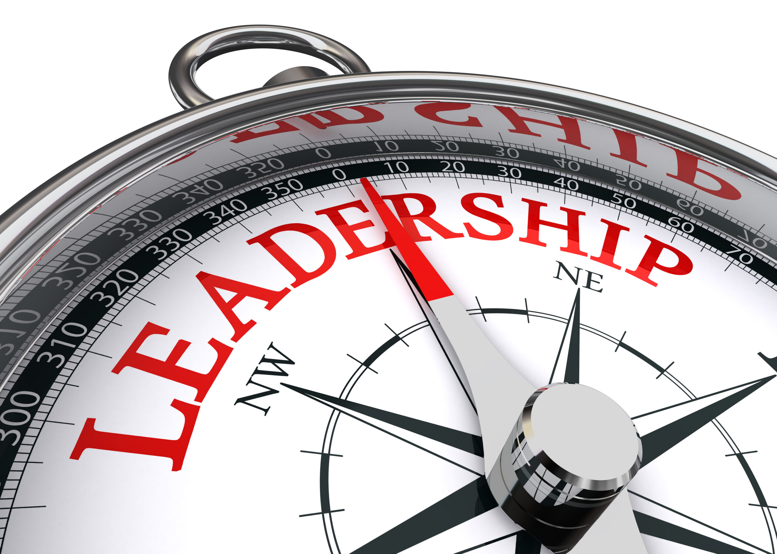 On Becoming a Marquis Team Leader