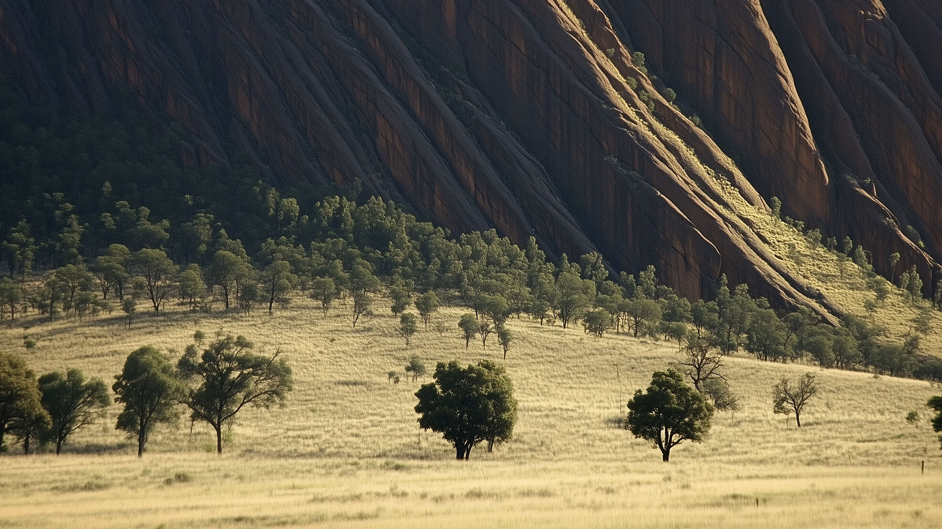red cliffs and grassland with green trees